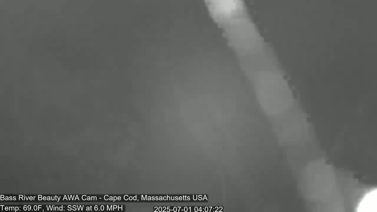 A blurry, grayscale image shows a mostly featureless scene with a bright, vertical streak in the center, under overcast conditions.