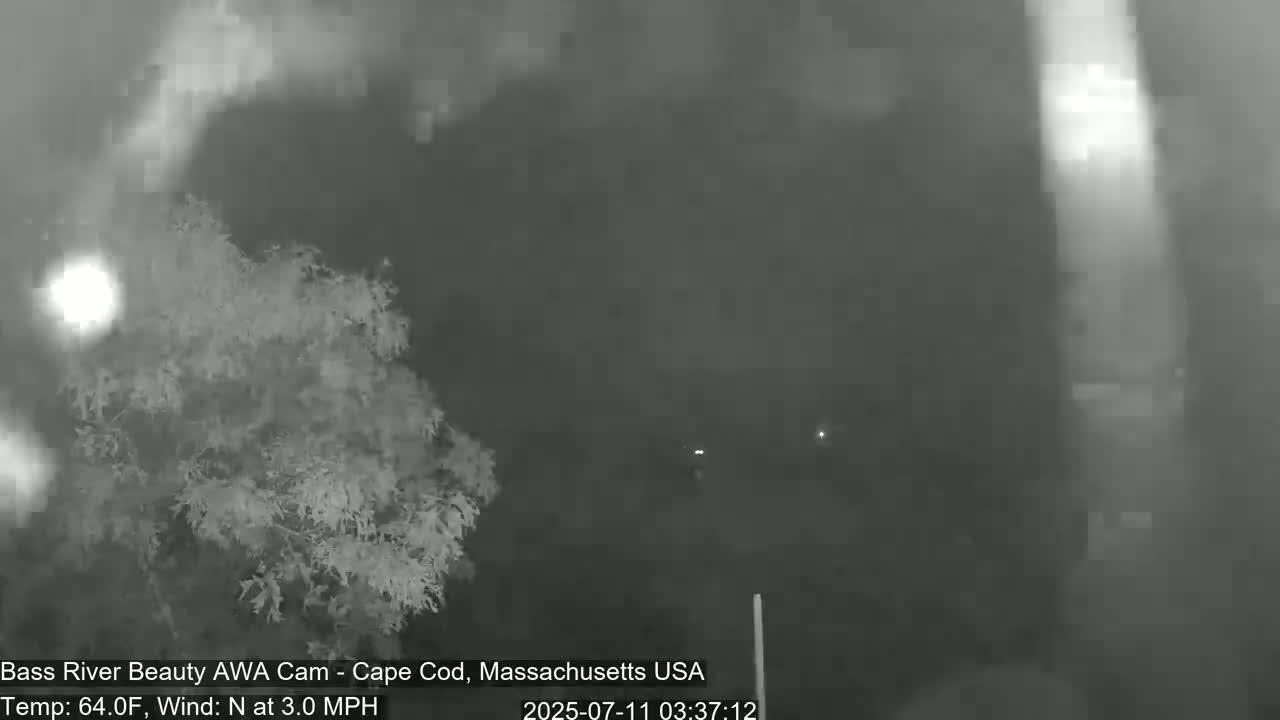 A nighttime, hazy view shows a tree to the left and a dimly lit area to the right, with a light north wind at 3 mph and a temperature of 64°F.