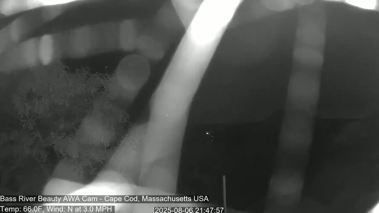Cape Cod - Bass River, Live Cam - Yarmouth, Massachusetts, USA
