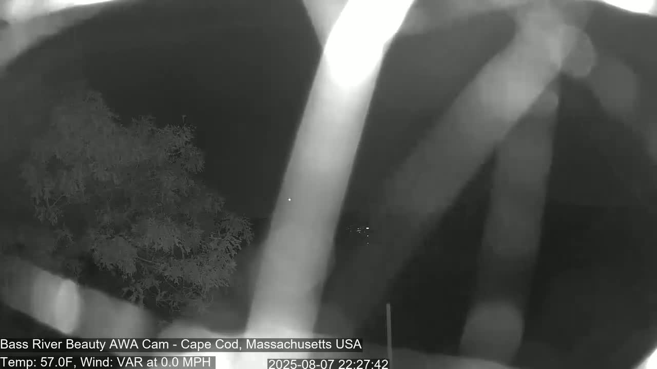 Cape Cod - Bass River, Live Cam - Yarmouth, Massachusetts, USA