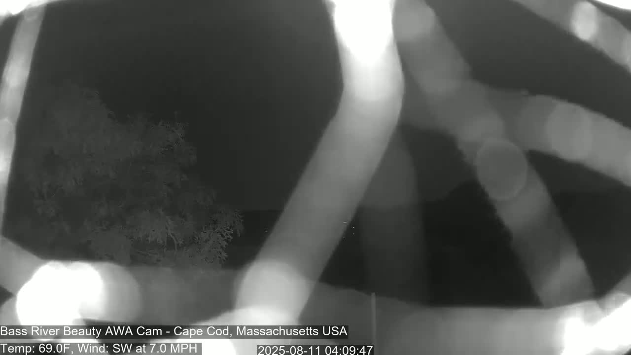 Cape Cod - Bass River, Live Cam - Yarmouth, Massachusetts, USA
