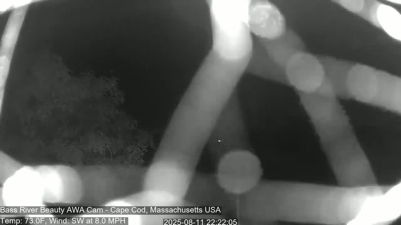 Cape Cod - Bass River, Live Cam - Yarmouth, Massachusetts, USA
