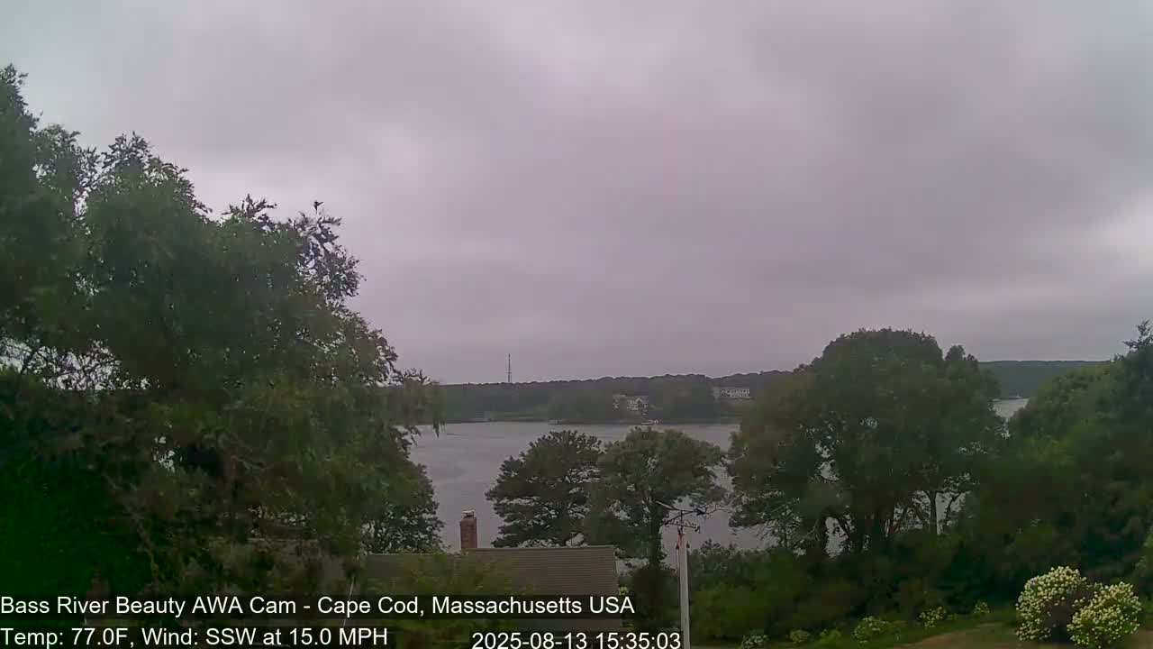 A calm body of water is partially visible through lush green trees under an overcast sky.