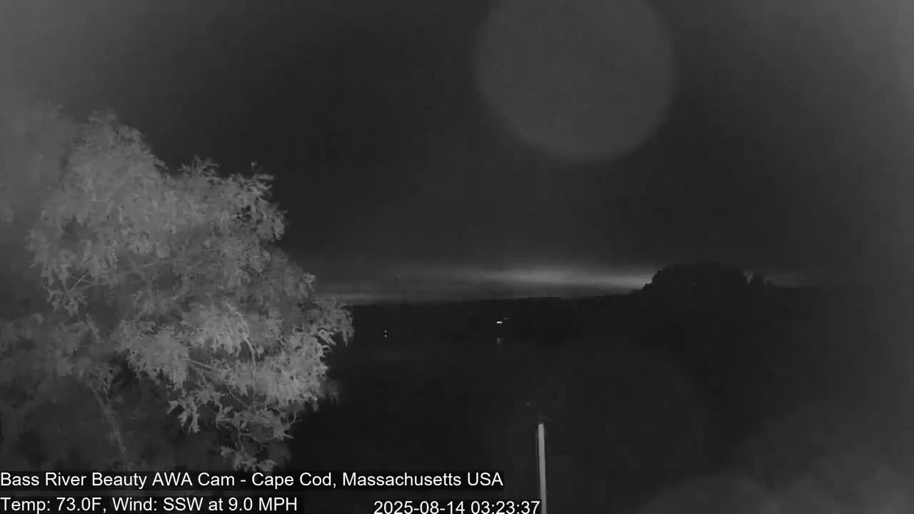 A nighttime, low-light image shows a dark landscape with a tree in the foreground and a slightly brighter horizon under a dark sky with a faint glow, with a wind from the south-southwest at 9 mph and a temperature of 73°F.