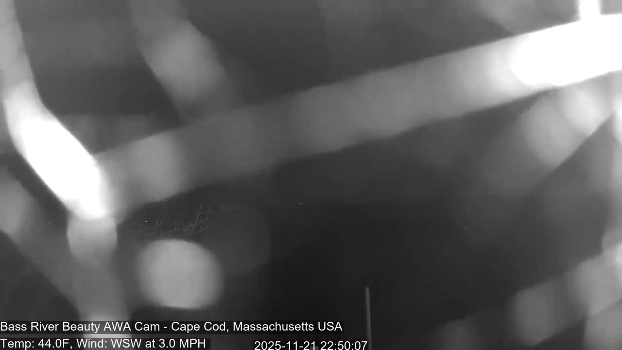 Cape Cod - Bass River, Live Cam - Yarmouth, Massachusetts, USA