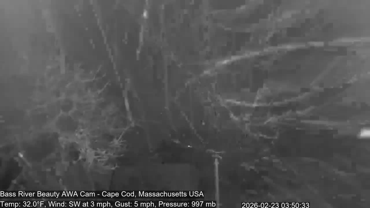 Cape Cod - Bass River, Live Cam - Yarmouth, Massachusetts, USA
