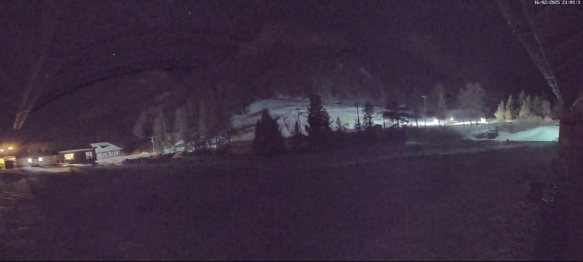 A nighttime, snowy scene shows a building and trees illuminated by artificial light.