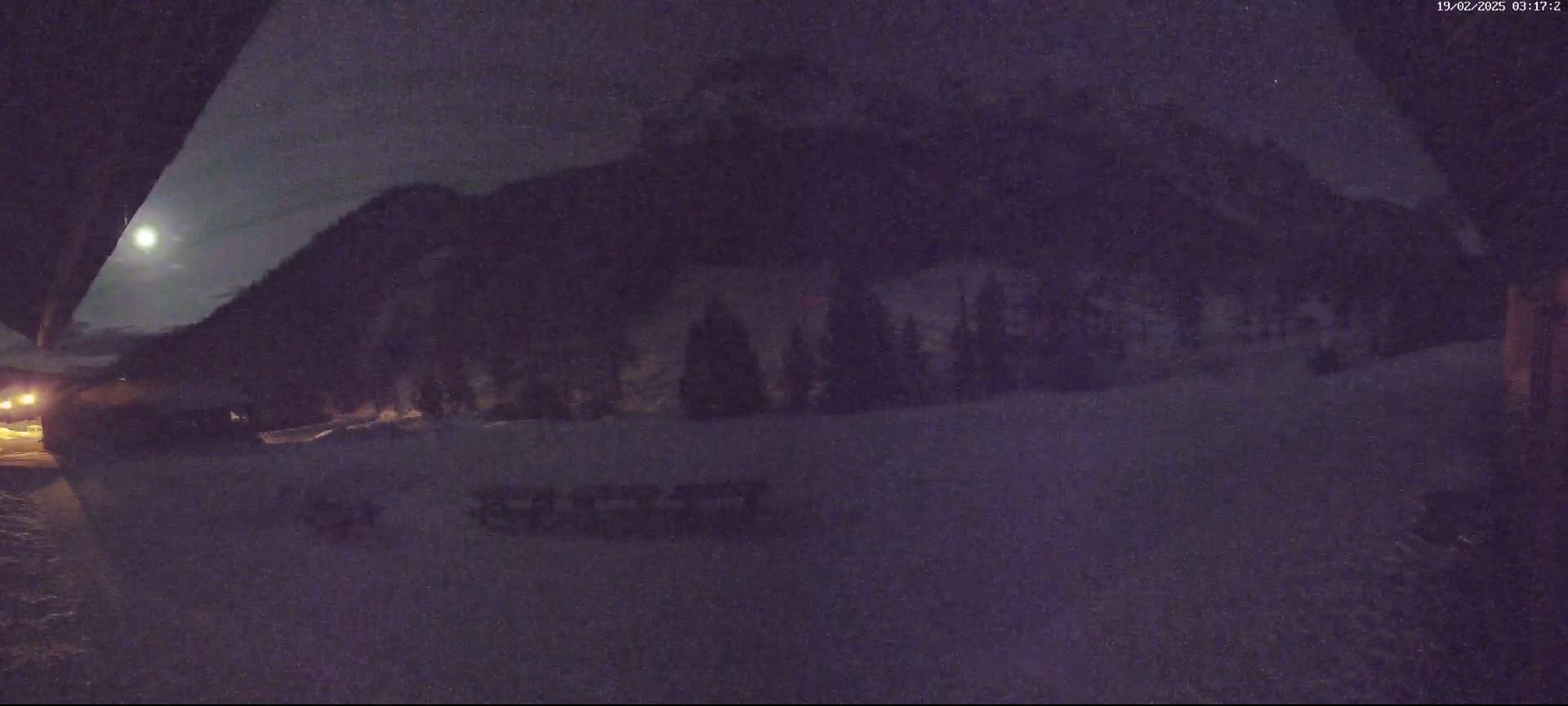 A nighttime scene shows a snow-covered ground with dark trees and mountains in the background under a bright moon.
