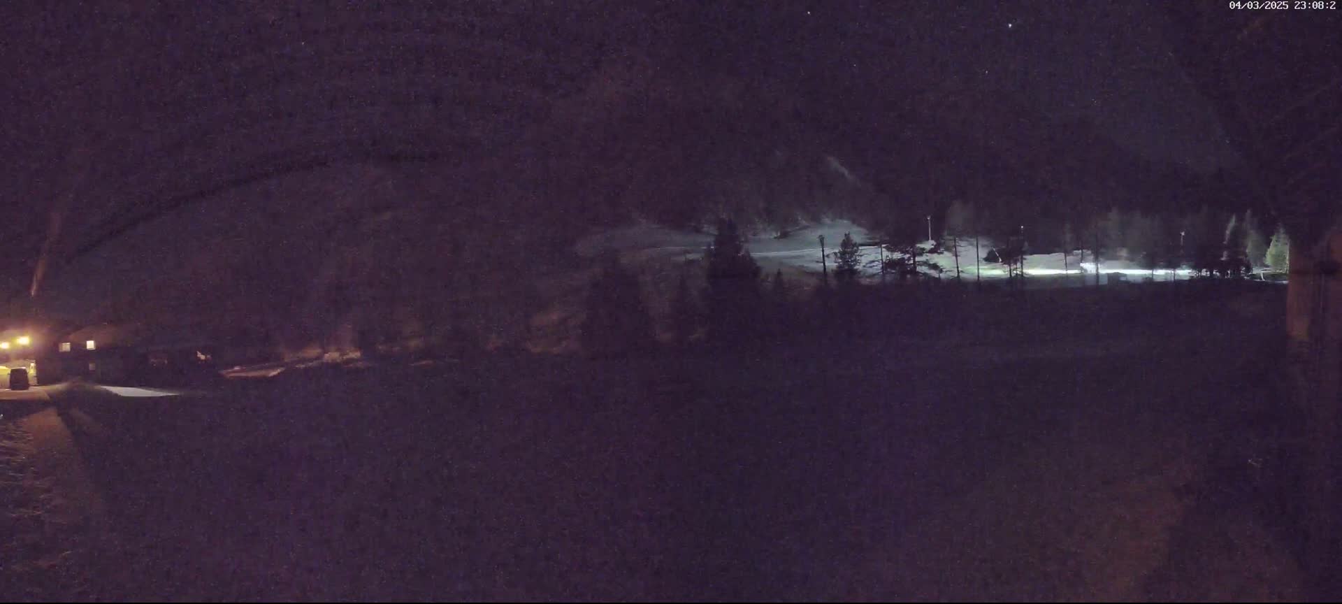 A nighttime view of a snow-covered area with trees and some lights in the distance under a clear, starry sky.
