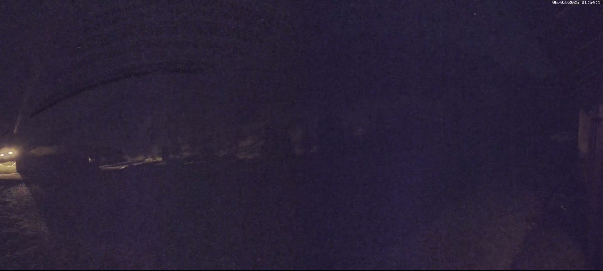 A dimly lit, nighttime scene shows a dark road and shadowy figures under a tree, with a faint light source visible in the distance.