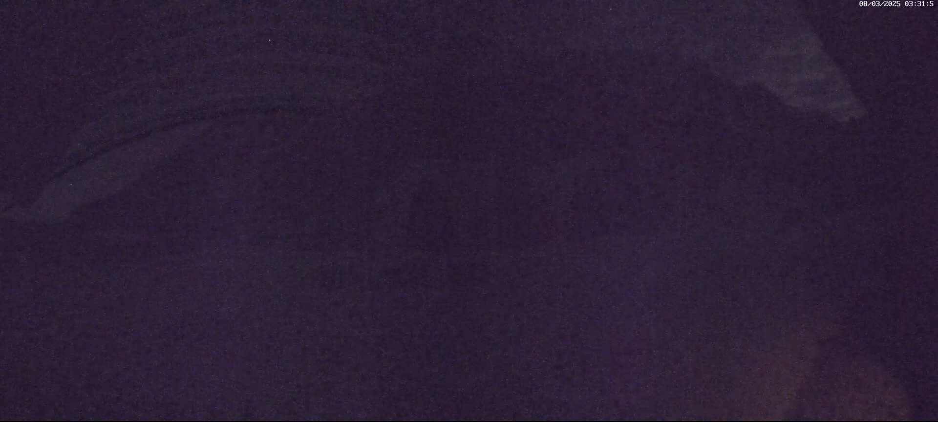 A dark purple, textured surface is shown.