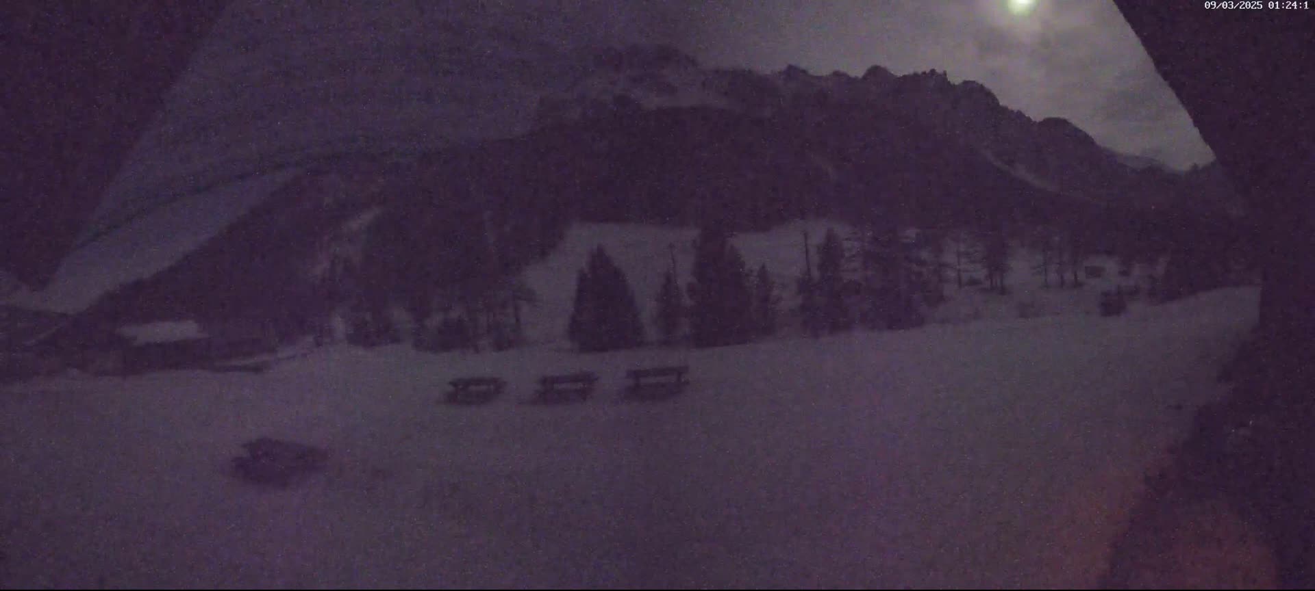 A snow-covered landscape at night, featuring a line of trees in the middle ground and mountains in the background under a dim, possibly moonlit sky.
