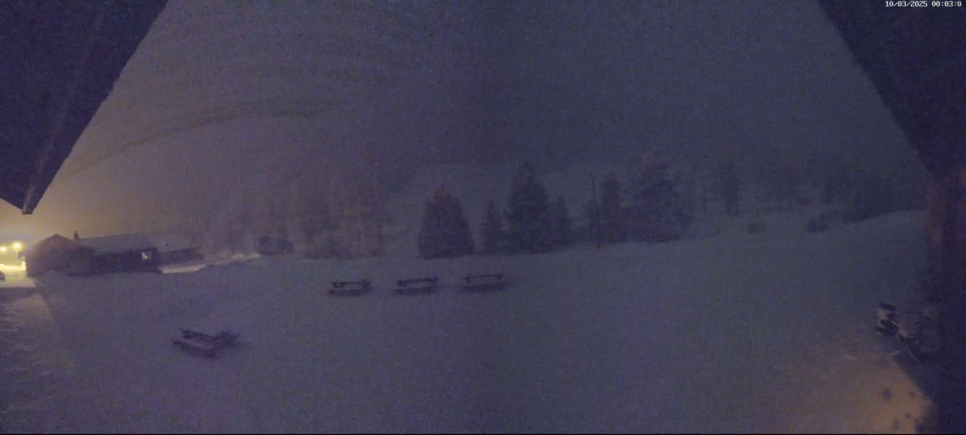 A snow-covered landscape at night is seen from a low angle, showing a building, trees, and picnic tables under a heavy snowfall.