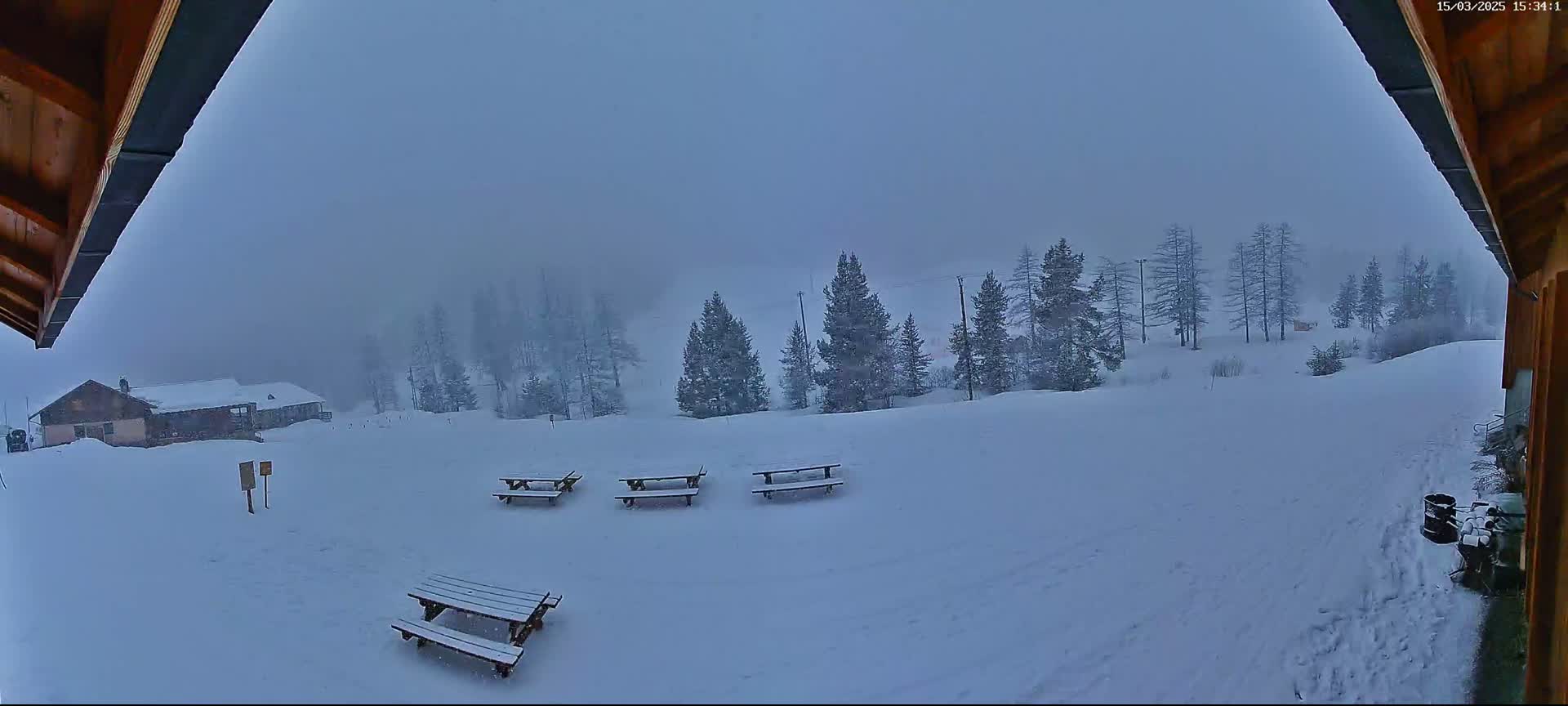 A snowy landscape with several picnic tables, a building in the distance, and a line of evergreen trees under an overcast sky.