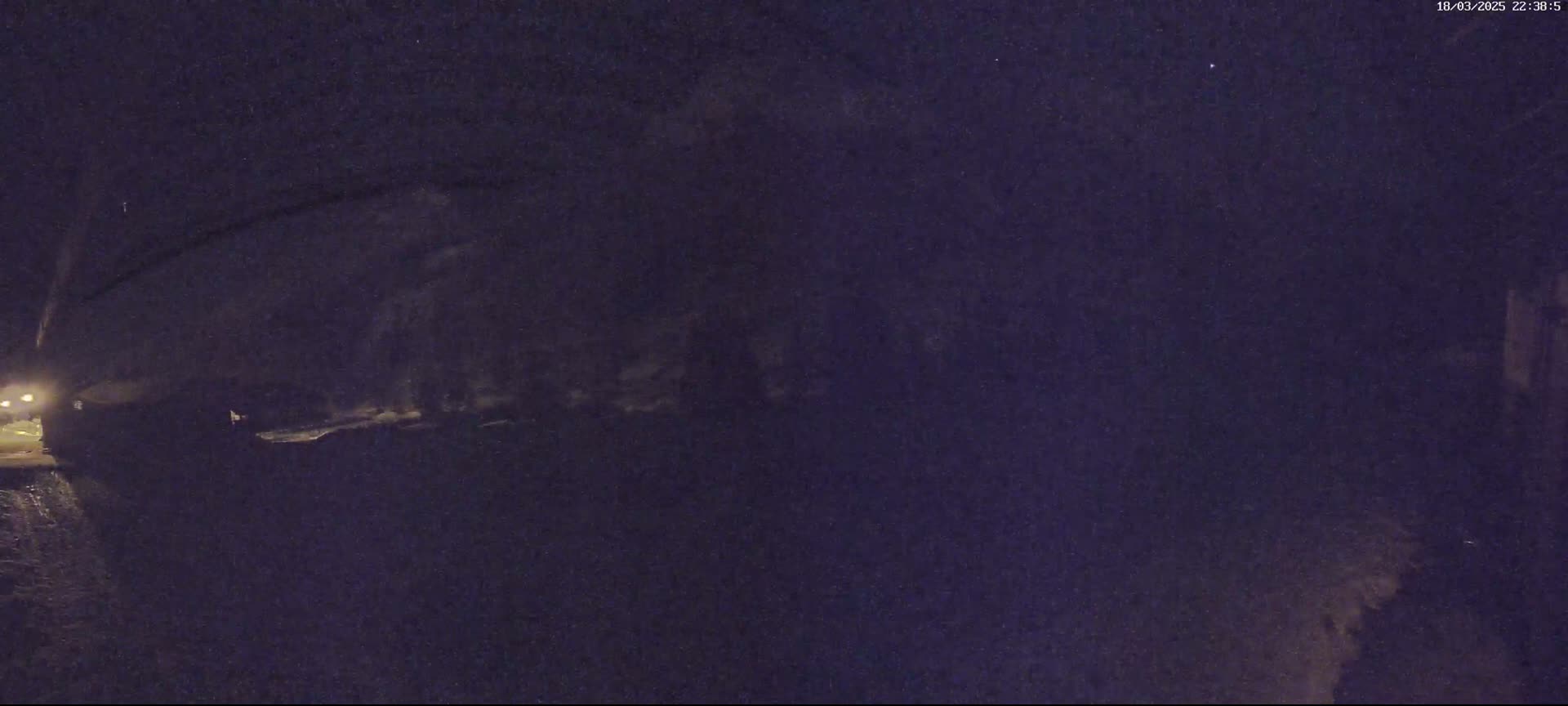 A dark, nighttime scene shows a dimly lit road and shadowy vegetation under a cloudy sky.