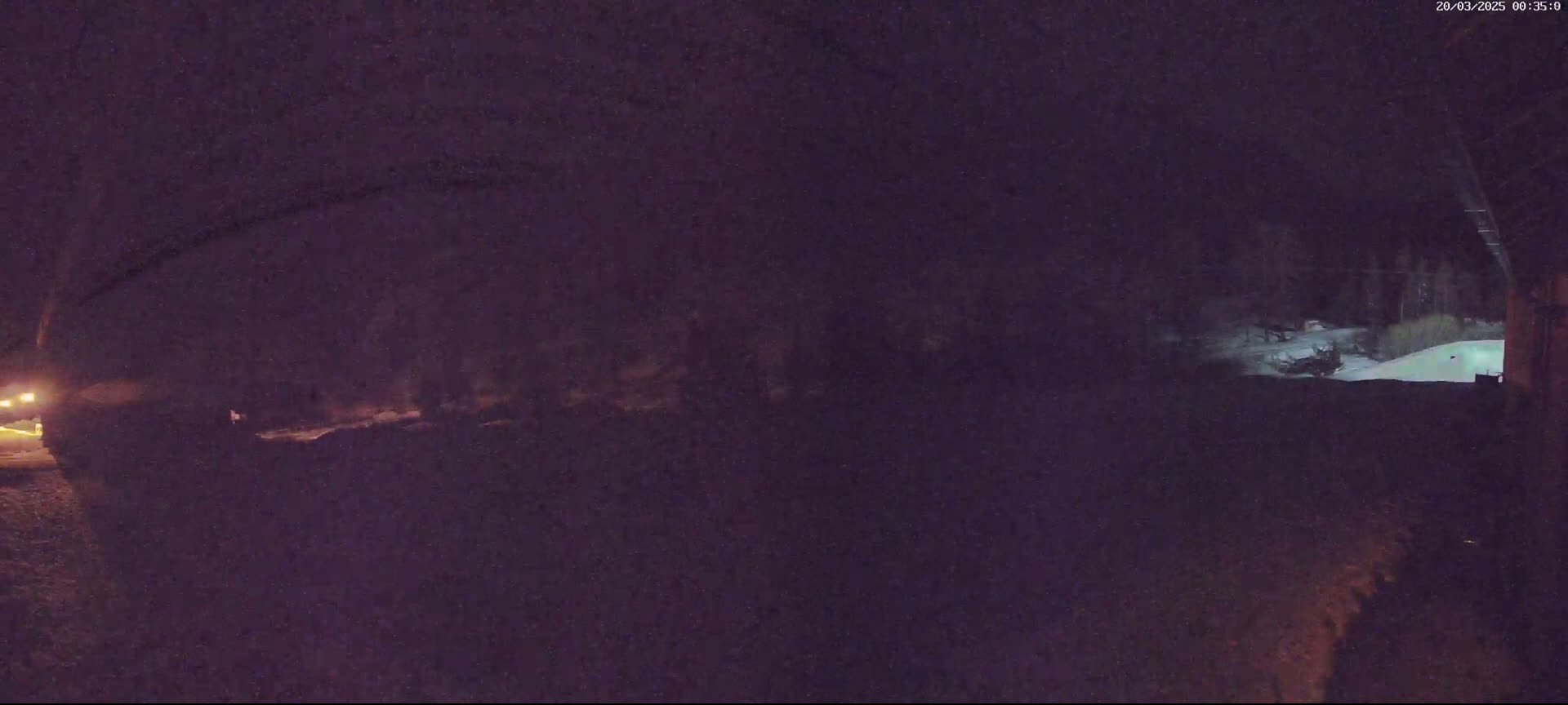A nighttime, snowy scene shows a dimly lit area with trees and a partially visible vehicle.