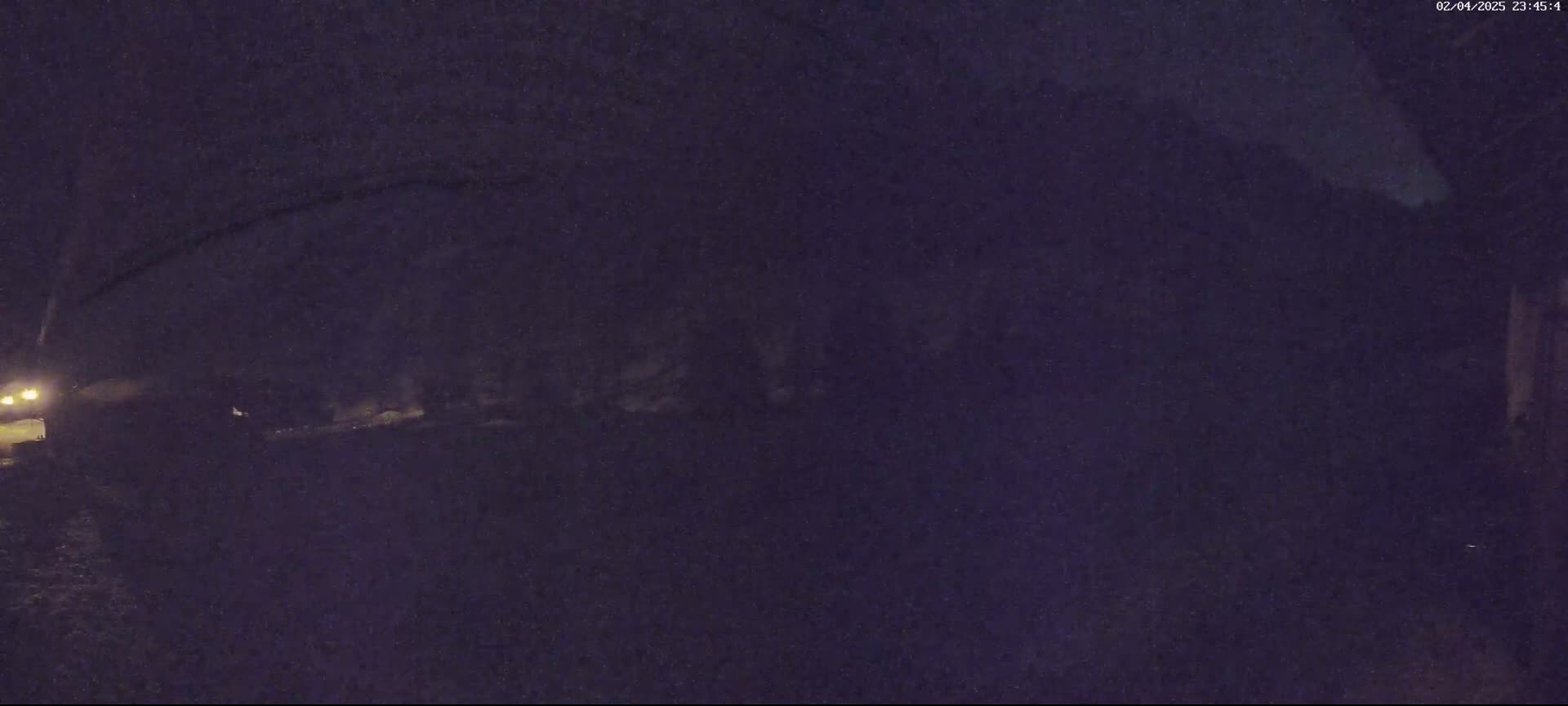 A nighttime, low-light image shows a dark, possibly wooded area with a vehicle's headlights faintly visible in the bottom left corner.