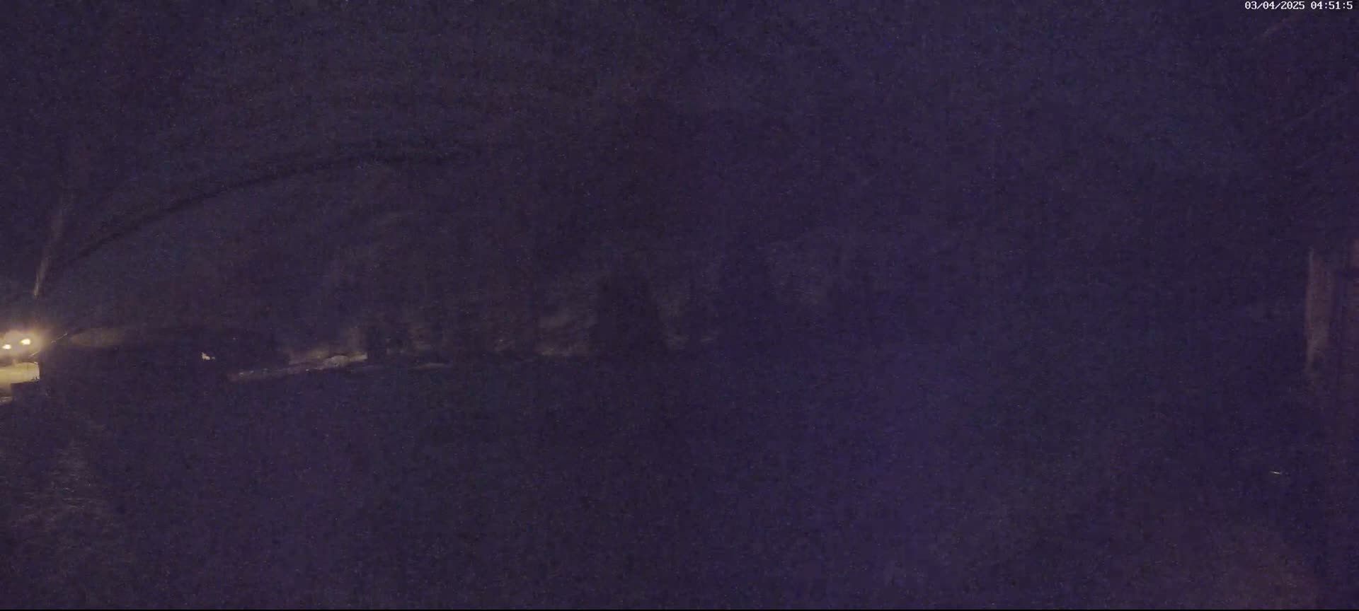 A nighttime outdoor scene shows a dimly lit area with some vegetation and a building, under dark conditions.