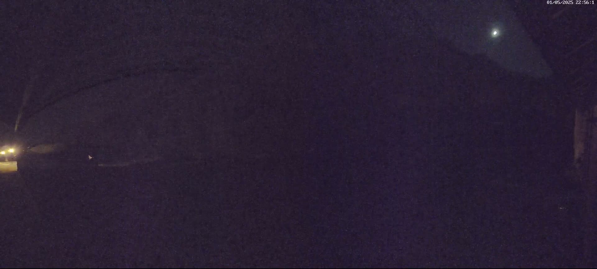 A nighttime outdoor scene shows a dark yard under a clear sky with a bright moon.