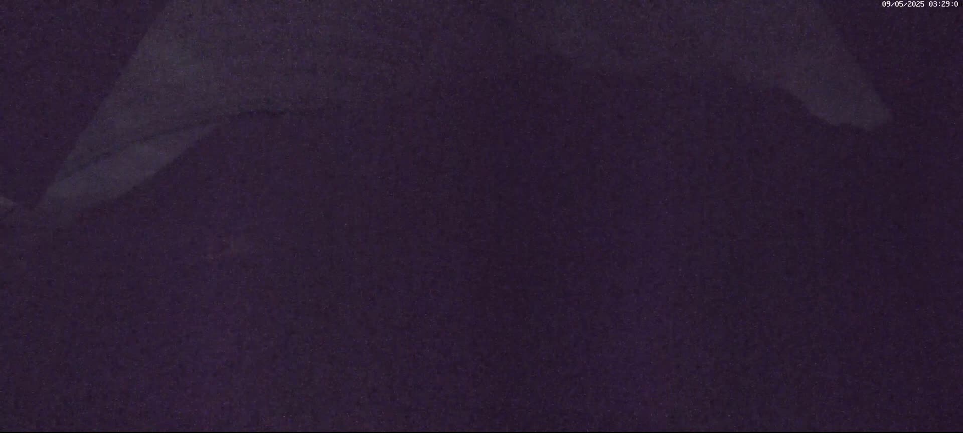 A dark purple, textured surface with a lighter, blurry area near the top.