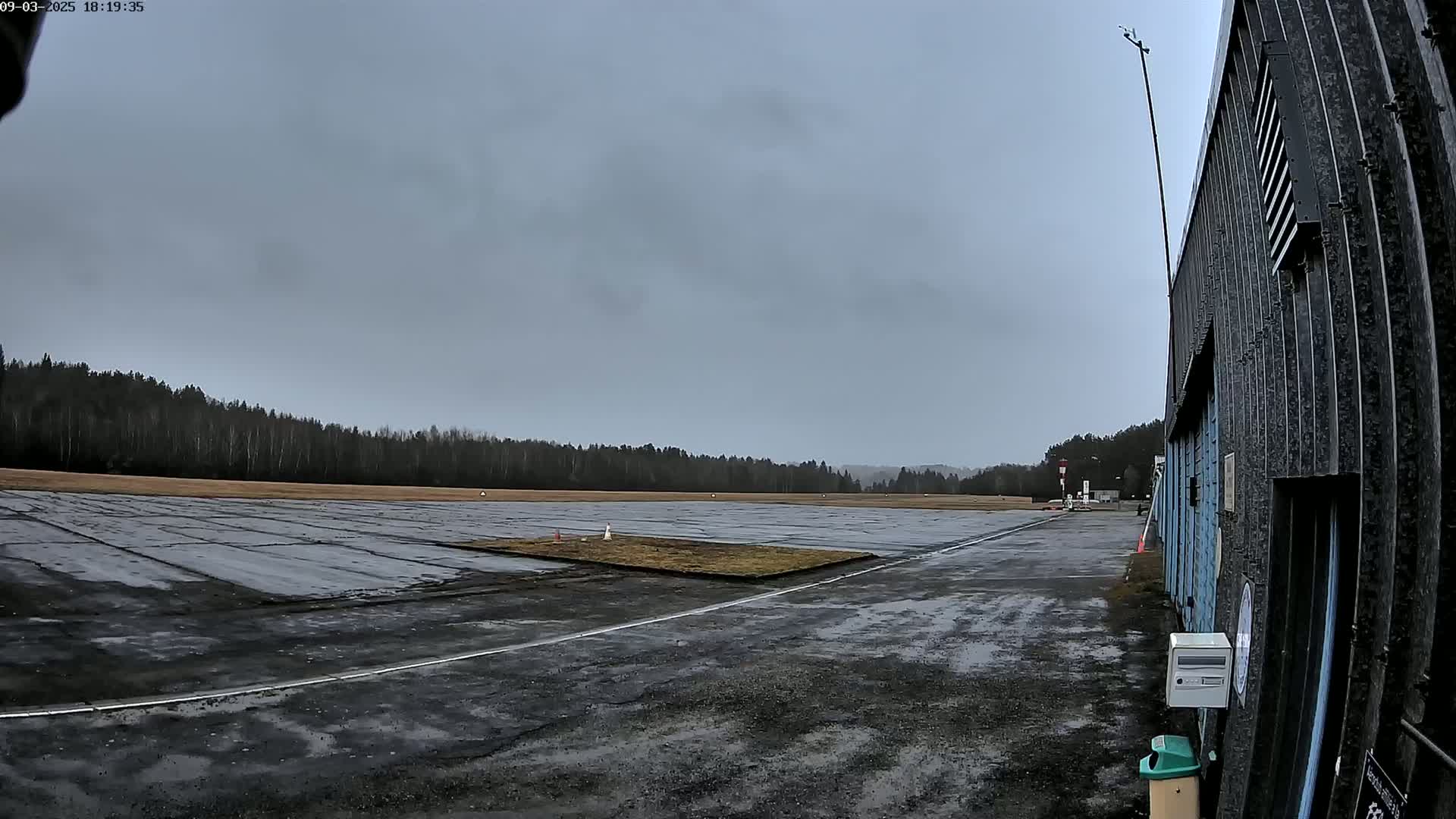 A wet, paved airfield is visible, bordered by a line of trees under an overcast sky, with a section of a hangar on the right.