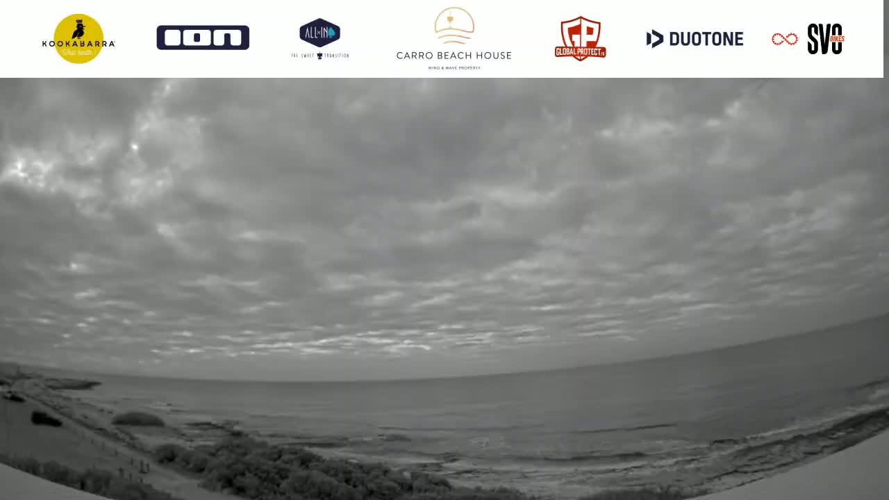 A grayscale coastal view shows an overcast sky above a calm ocean meeting a sandy shore with vegetation.