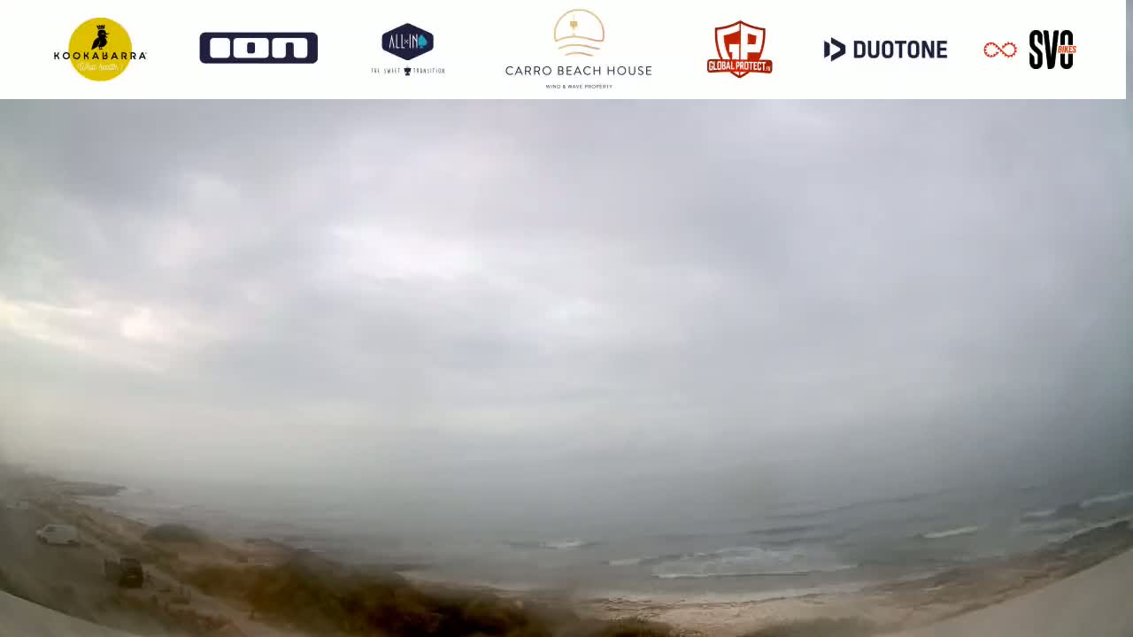 A hazy, overcast day shows a view of an ocean beach with small waves, a sandy shore, and sparse vegetation.