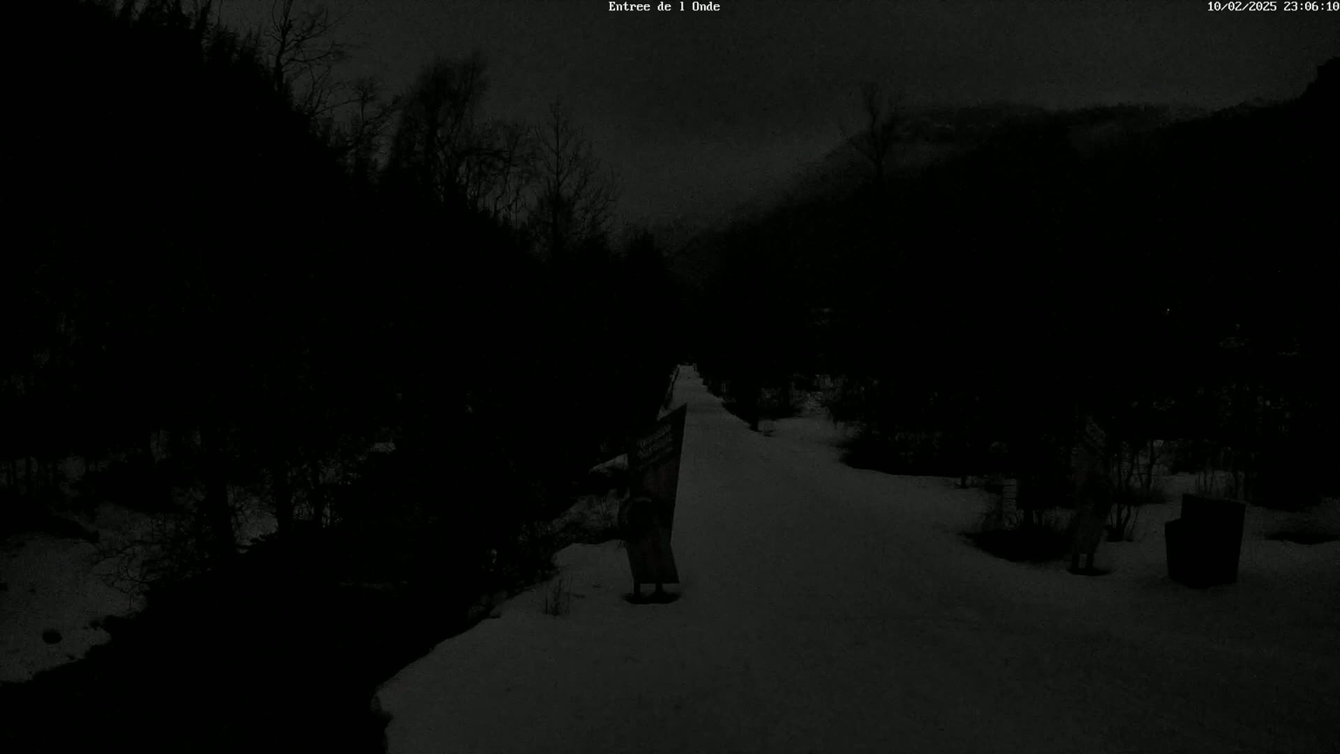 A snow-covered path winds through a dark, snow-covered forest under a night sky.