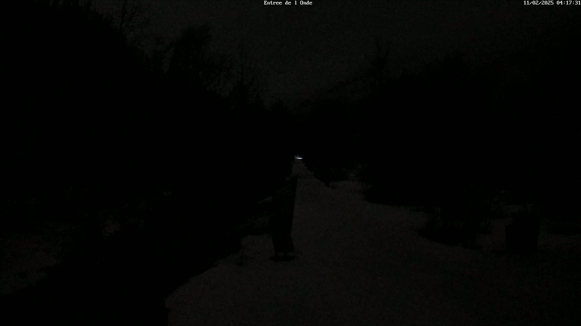 A person walks down a snow-covered path at night, illuminated by a distant light source.