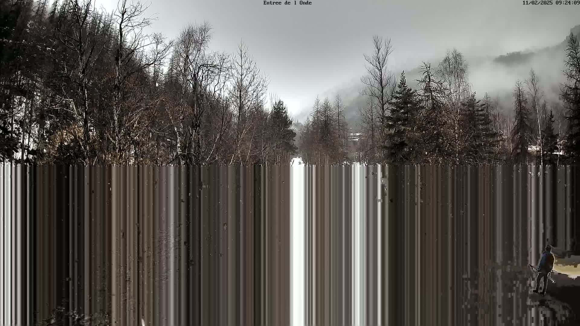 A snowy, foggy scene shows leafless trees lining a path leading towards a misty mountainside.
