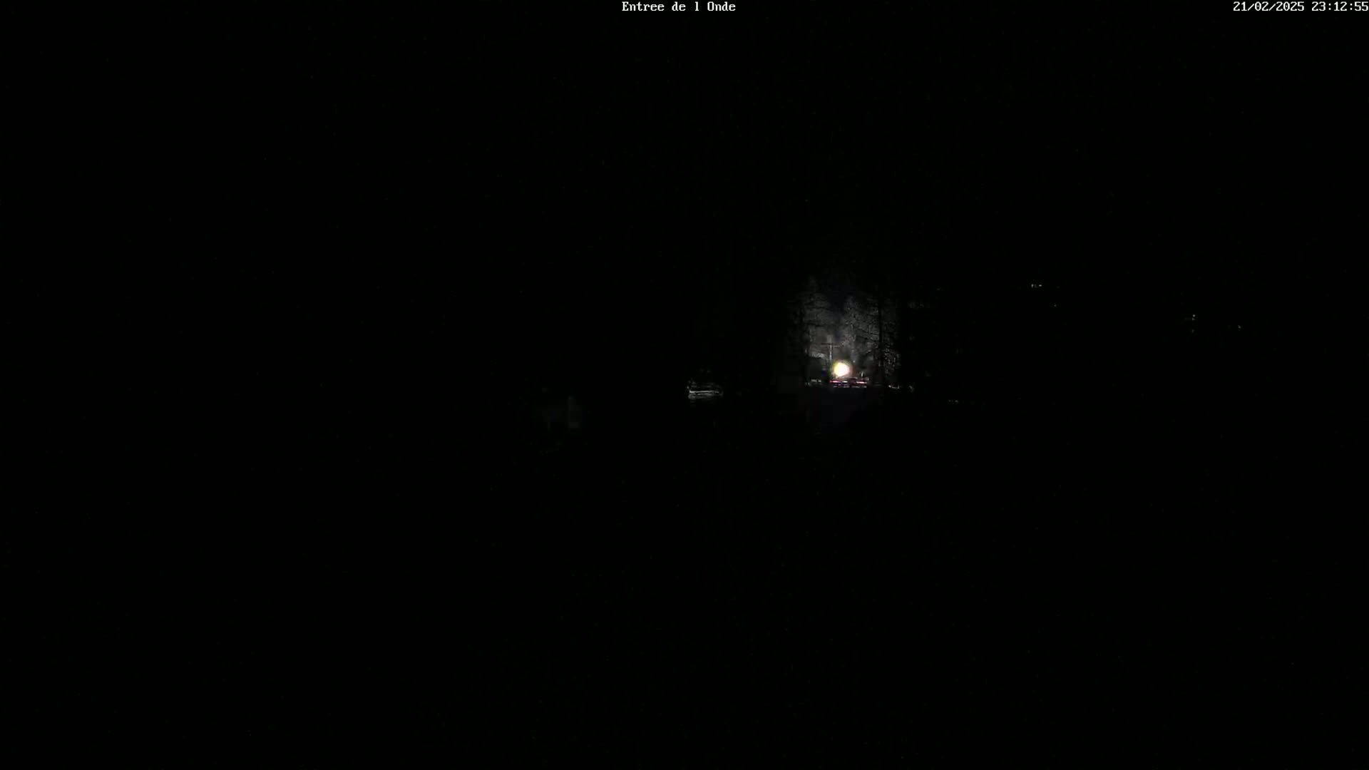 A dark, nighttime scene shows a faintly lit road leading into a wooded area.
