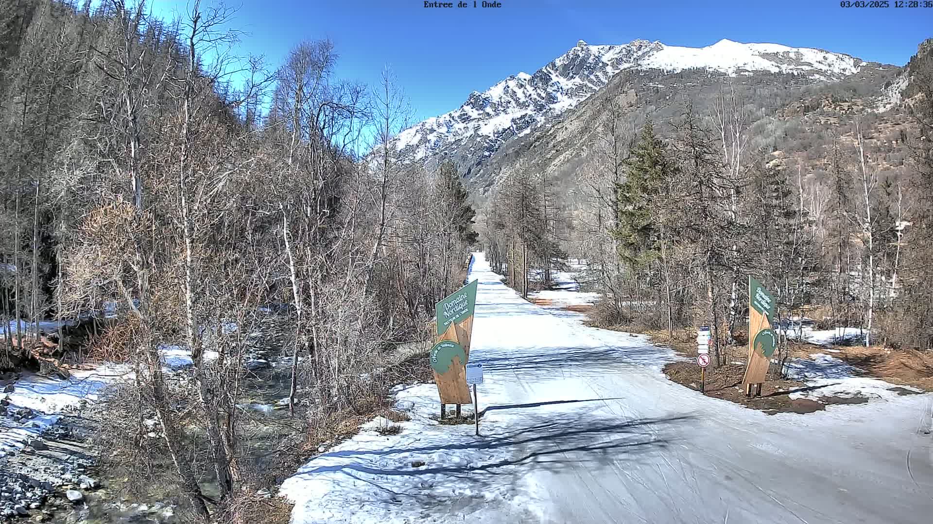 A snow-covered road winds through a valley of bare, winter trees toward a snow-capped mountain range under a clear, sunny sky.