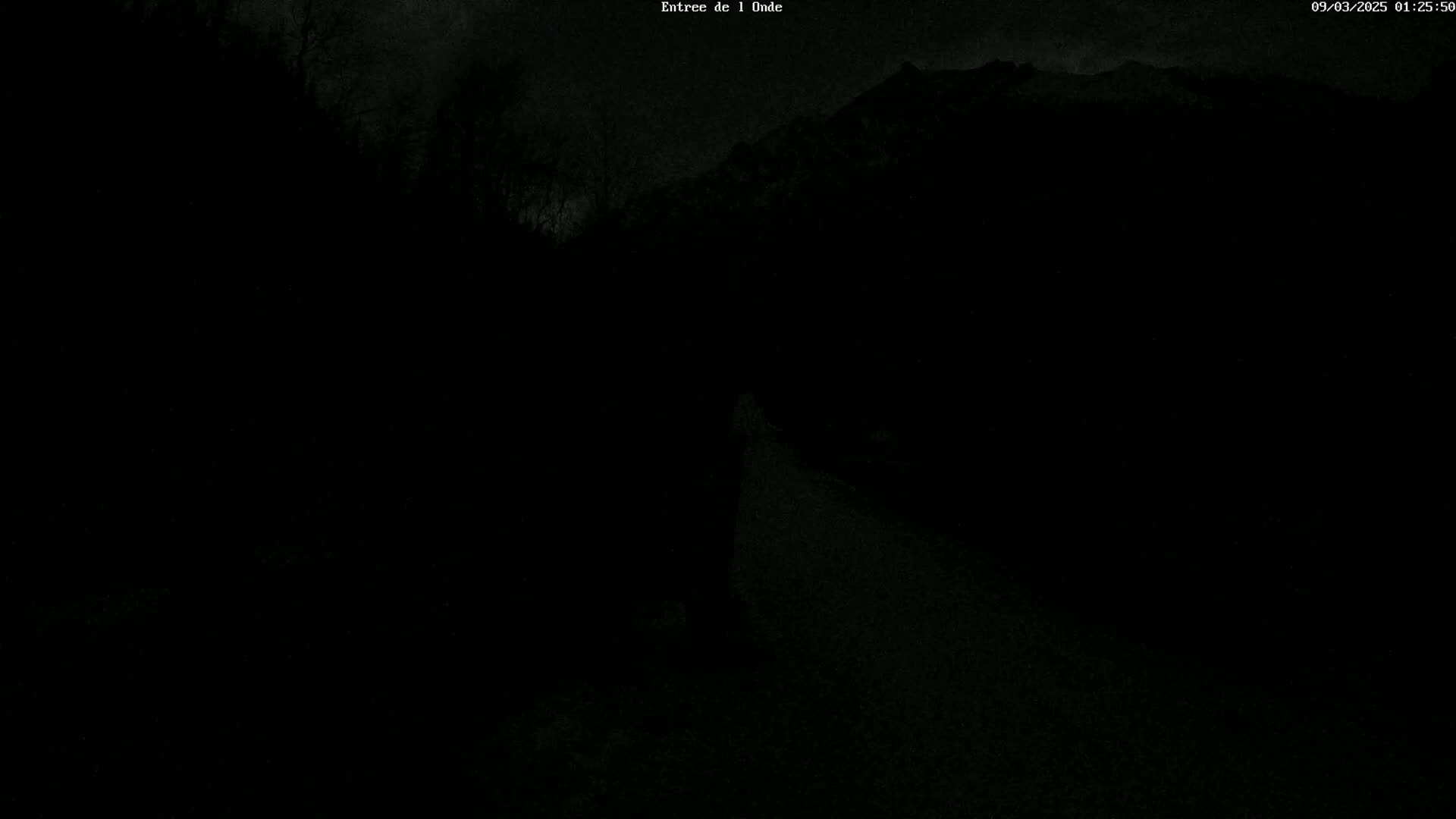 A dark, nighttime image shows a road leading toward shadowy mountains under a cloudy sky.