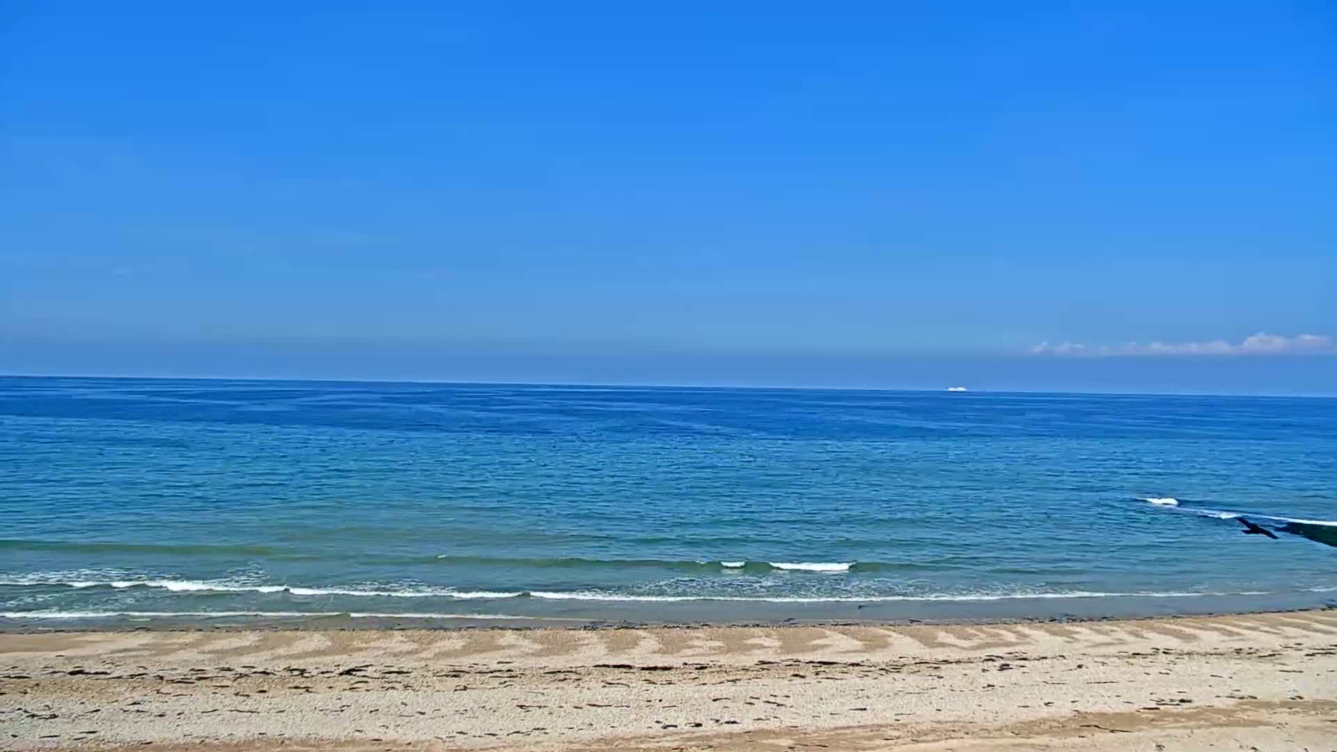 A sandy beach slopes down to a calm, blue ocean under a clear, blue sky.