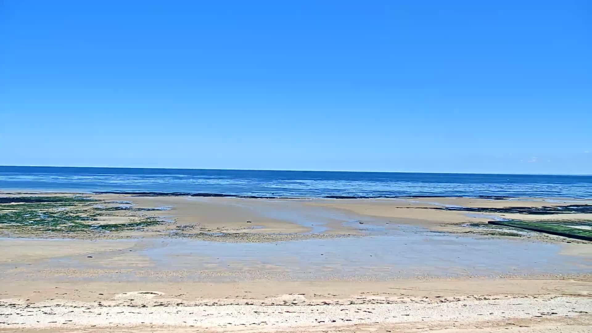 A sandy beach stretches towards a calm ocean under a clear blue sky.