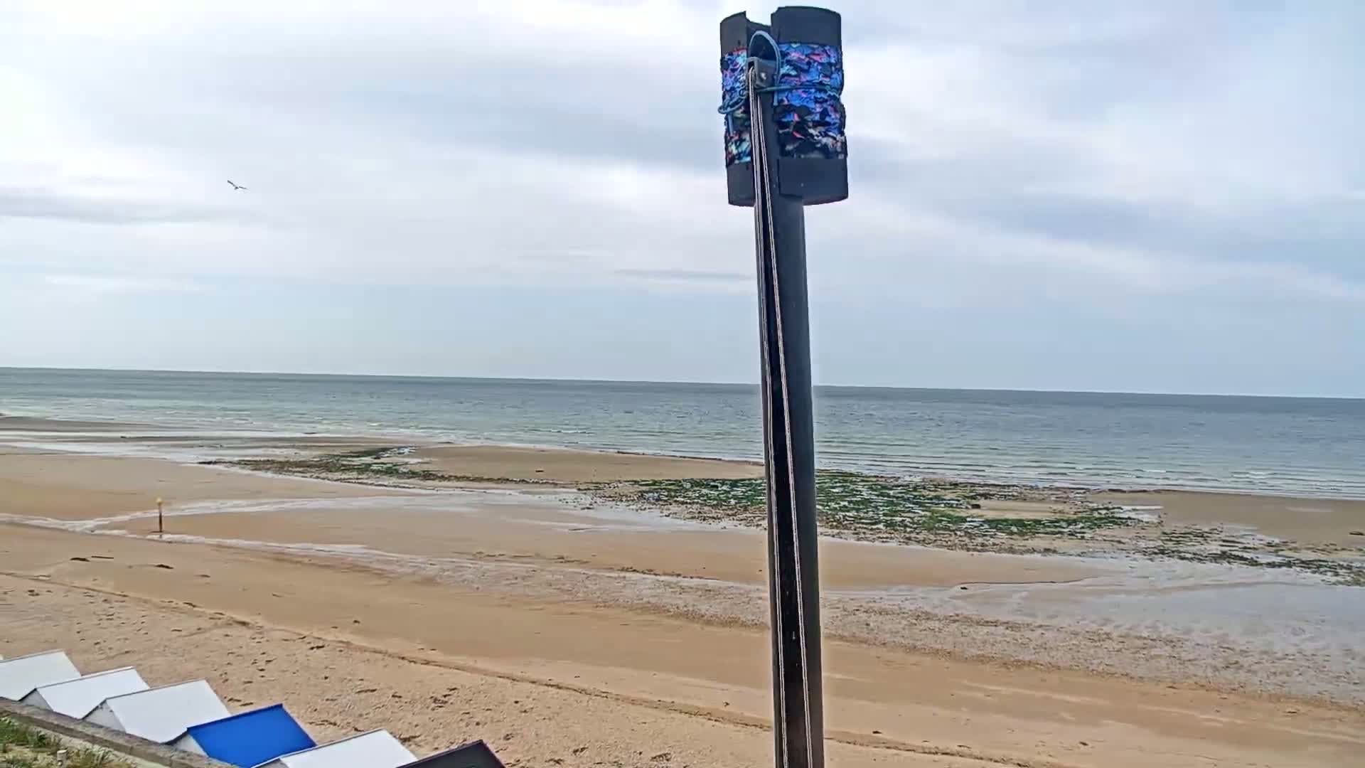 A sandy beach with a calm sea under a cloudy sky is viewed from behind a tall pole with a colorful object attached near the top.