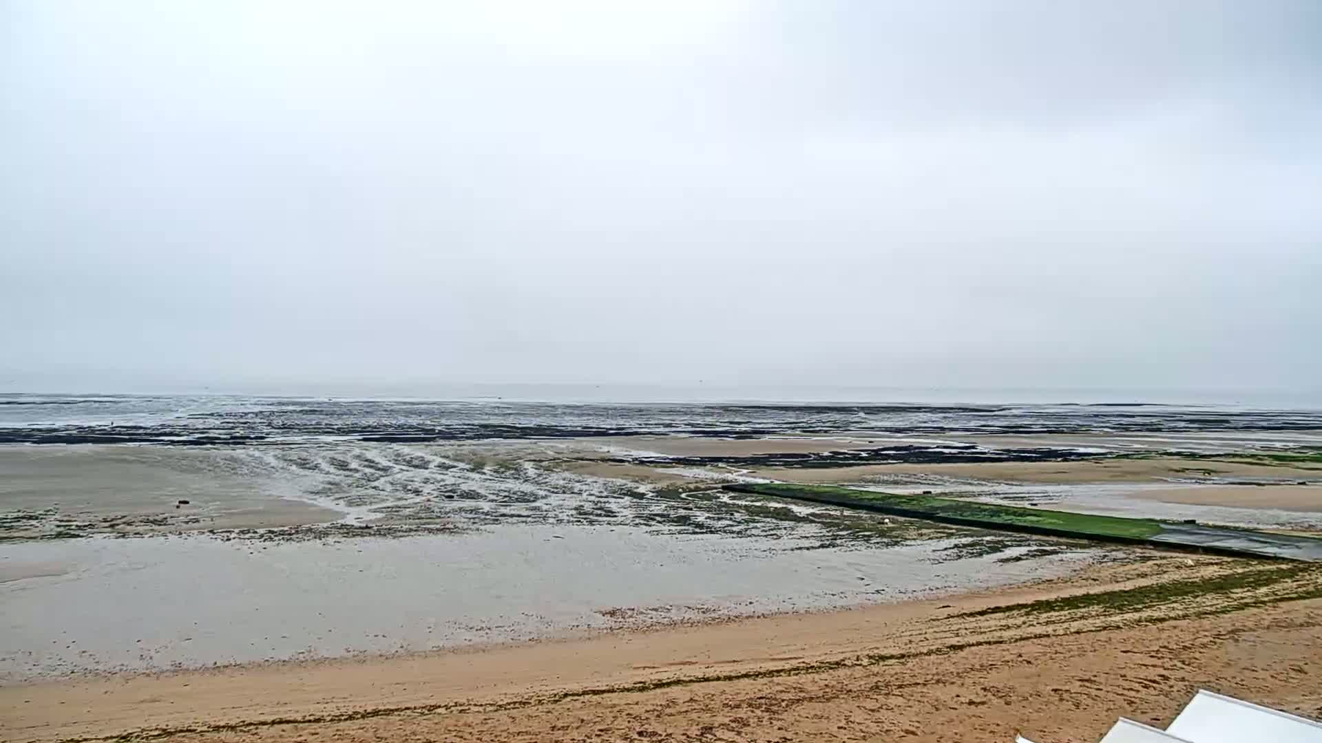 A wide sandy beach stretches to a calm, overcast ocean where exposed tidal flats reveal dark patches and rivulets of water.