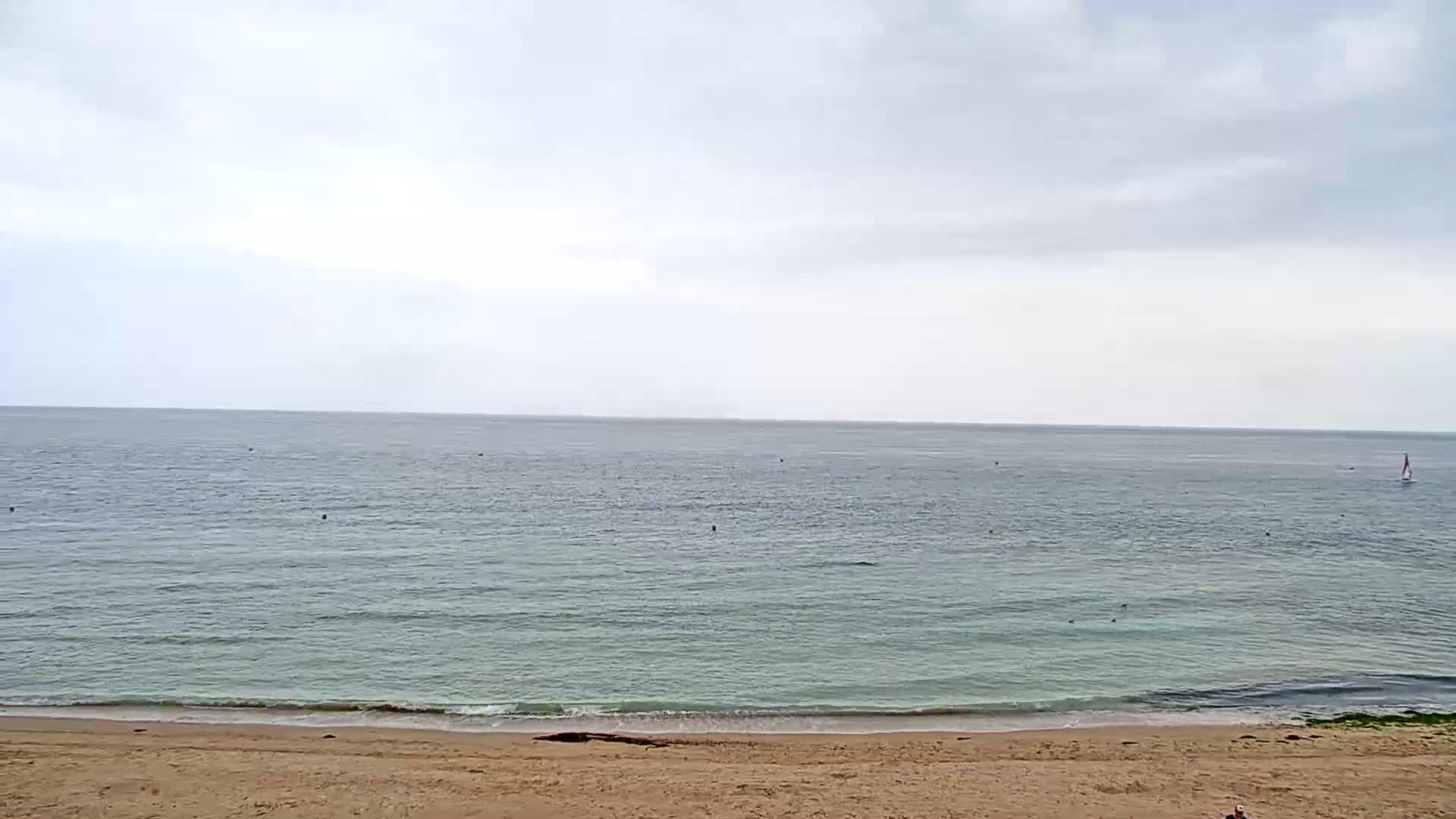 A sandy beach meets a calm, light-green sea under an overcast sky.