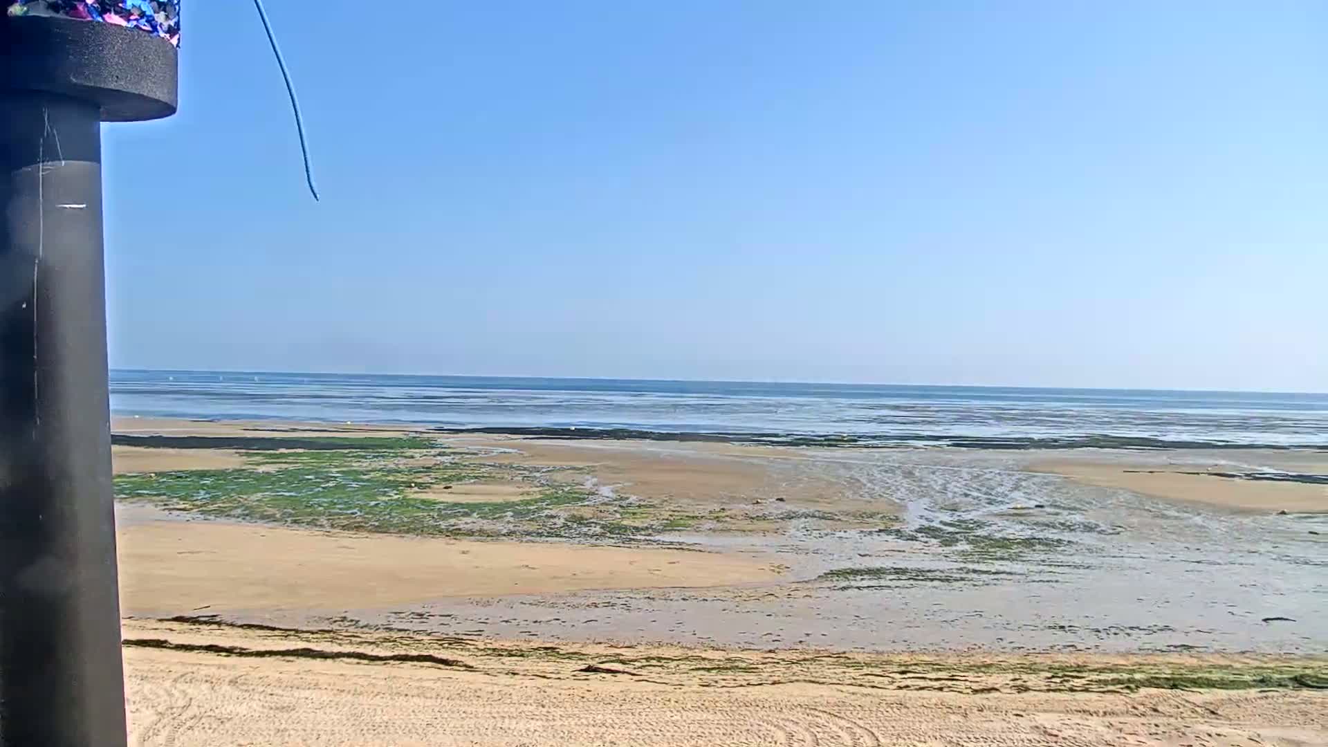 A sandy beach with patches of seaweed extends to a calm ocean under a clear blue sky.