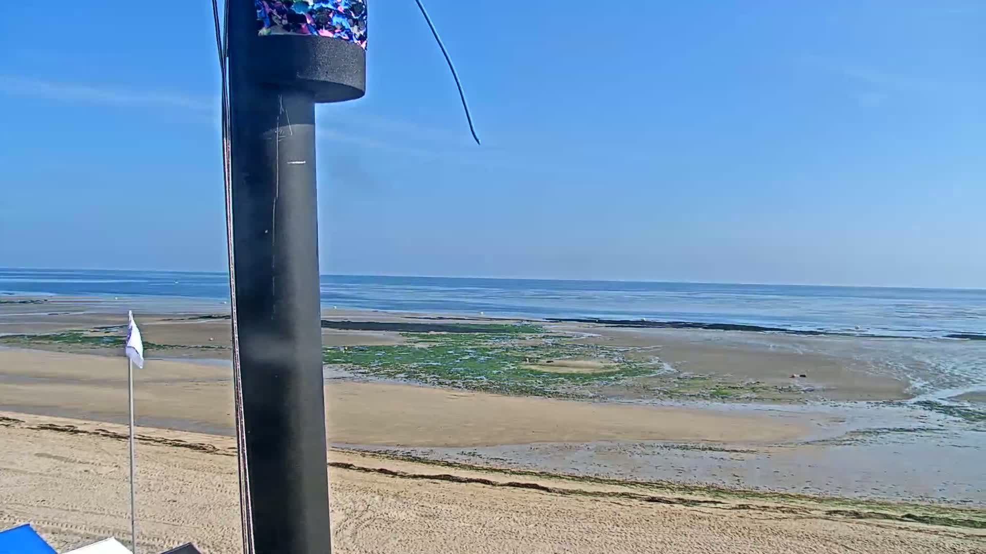 A sandy beach stretches to a calm ocean under a clear blue sky, with patches of seaweed visible at low tide.