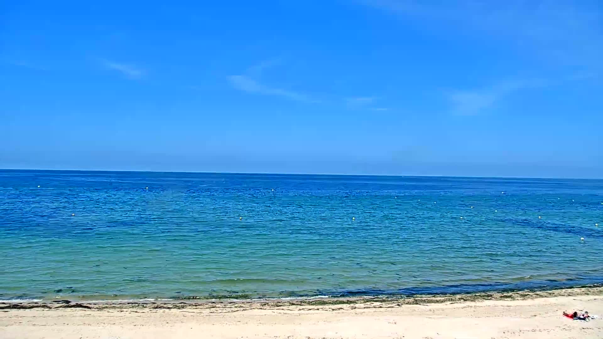 A sandy beach meets a calm, blue ocean under a clear, bright blue sky.