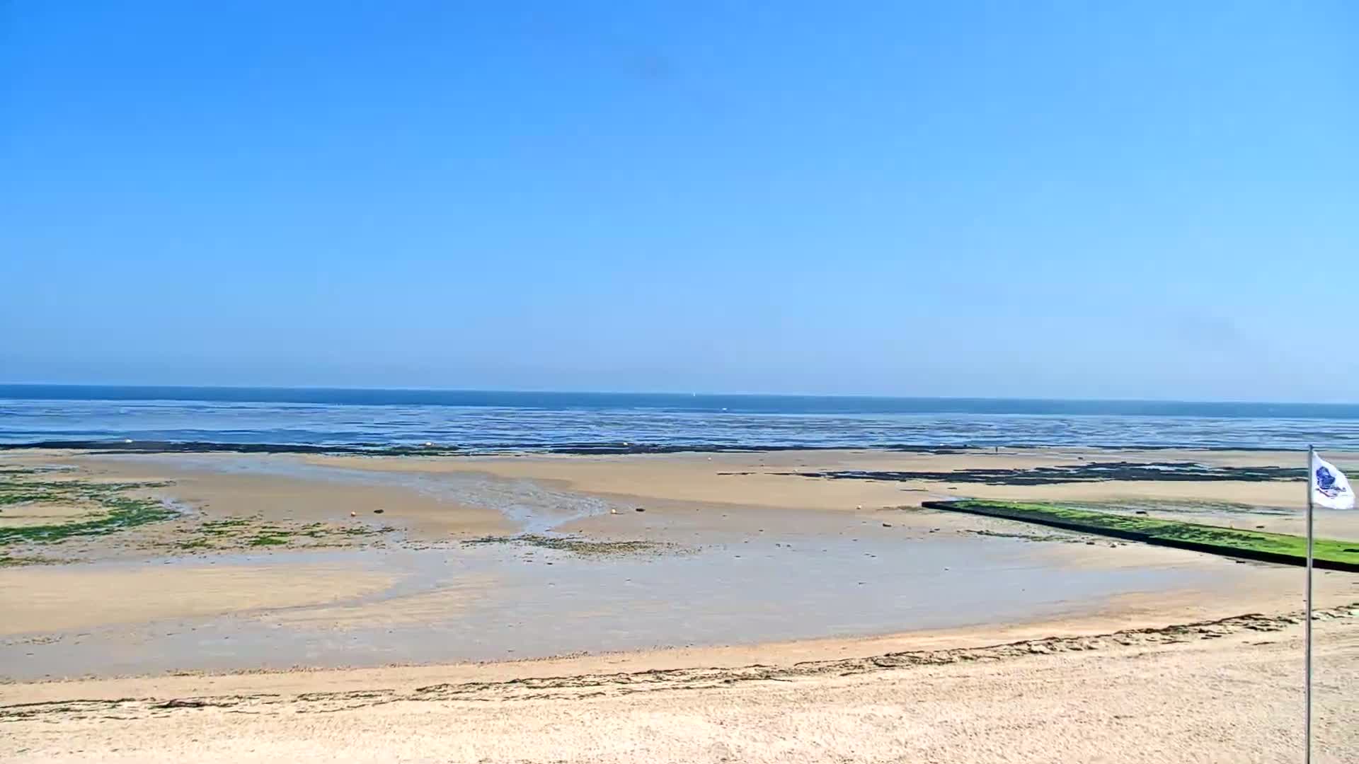 A sandy beach stretches to a calm, blue ocean under a clear sky, with patches of seaweed visible on the wet sand.