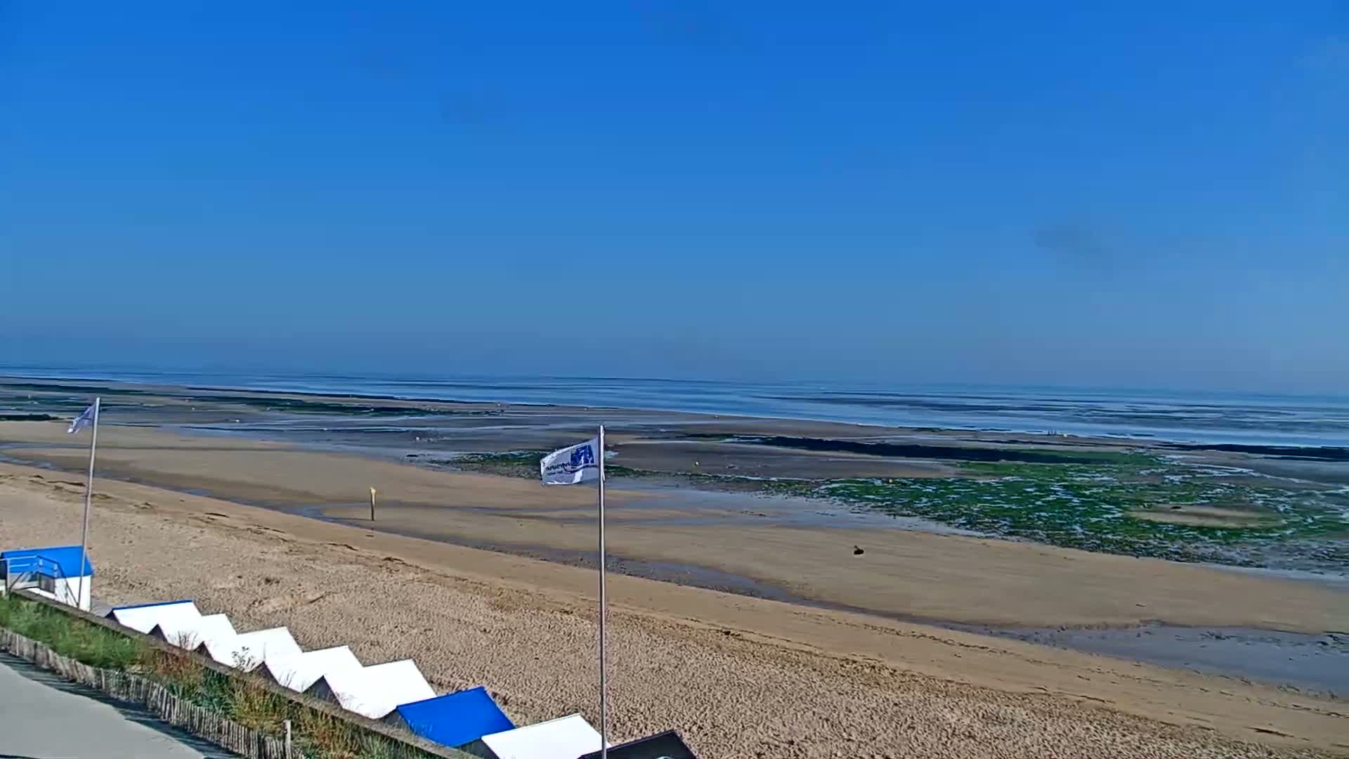 A sandy beach stretches towards a calm ocean under a clear blue sky.