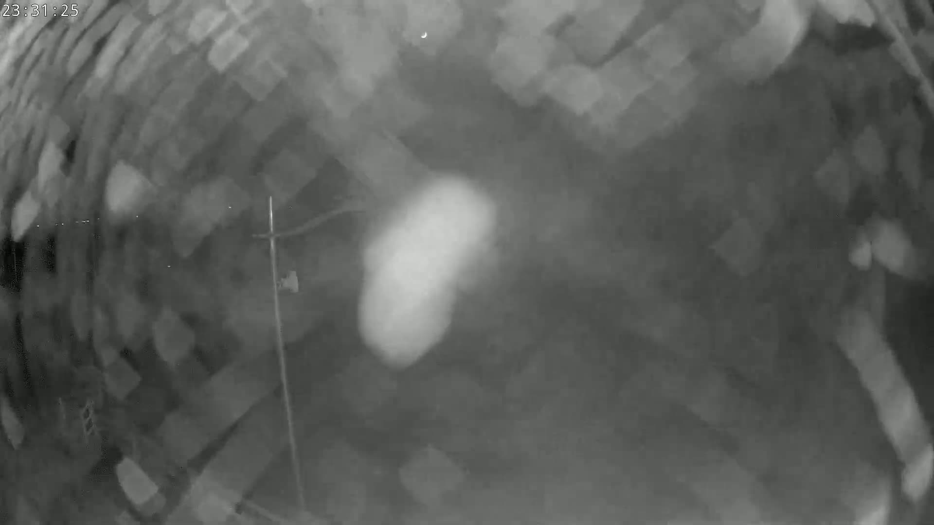 A grainy, low-light image shows a blurry, indistinct object in the center, possibly under a night sky with a crescent moon visible.