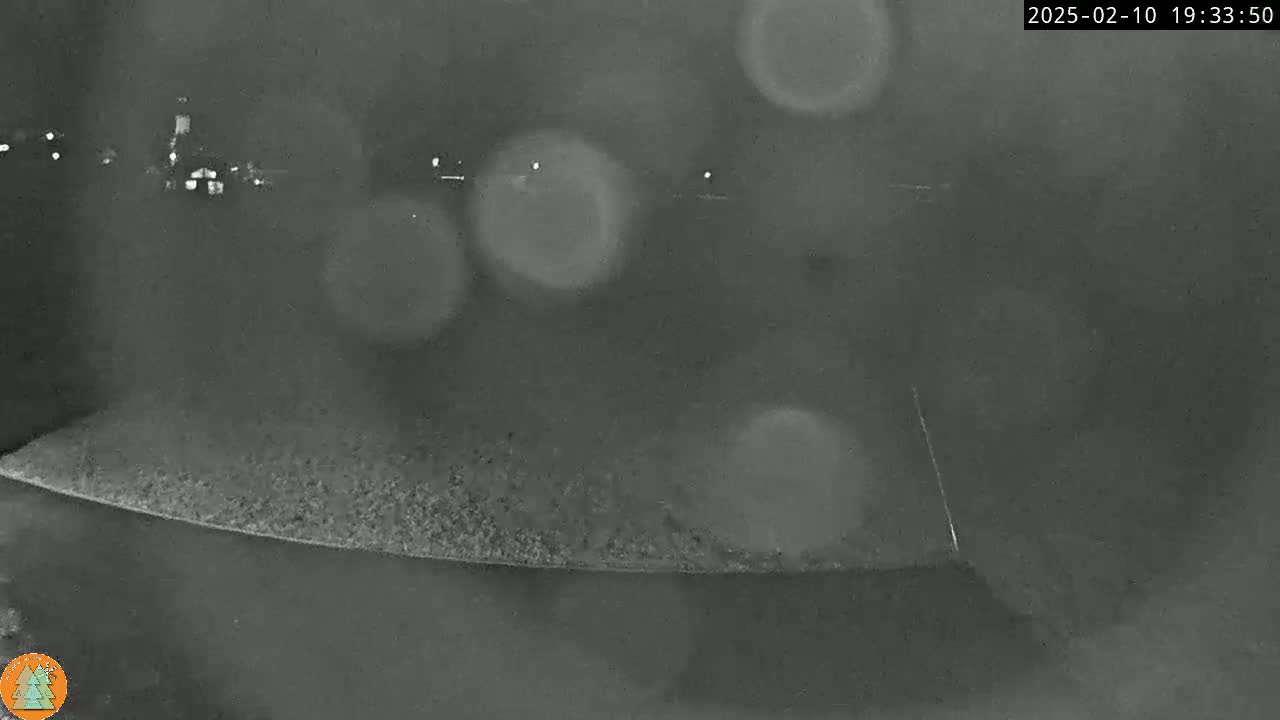 A nighttime, blurry, low-light view of a dark landscape with some distant lights, possibly under snowy conditions.