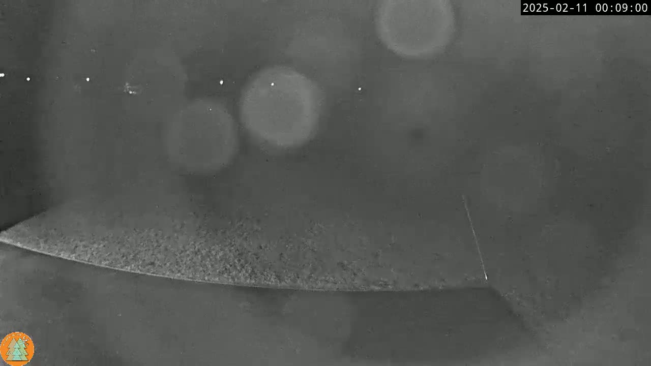 A nighttime, low-light image shows a dark, textured surface curving upward, with several blurry, bright spots in the background.