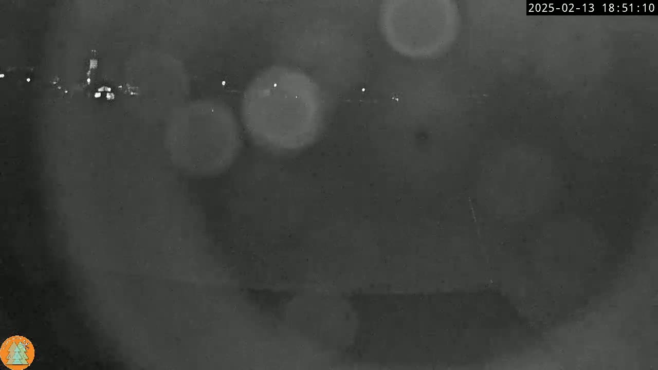 A blurry, nighttime image shows a dark landscape with indistinct lights in the distance, possibly from a town or city.