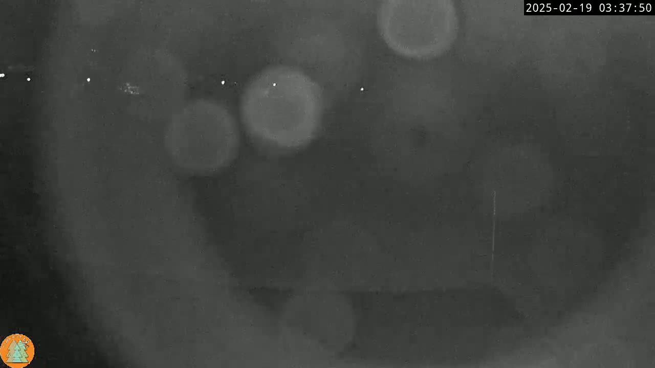 A blurry, dark gray image shows several out-of-focus light sources.