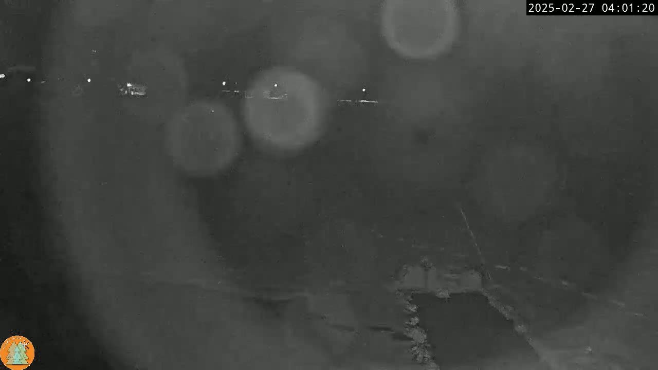 A nighttime, blurry, outdoor scene shows a dark road with faint lights in the distance, amidst falling rain or snow.