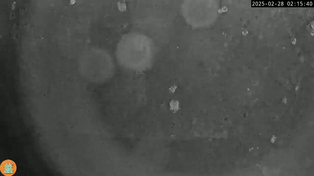 A grainy, dark gray image shows a blurry, indistinct scene at night, possibly under a cloudy sky.